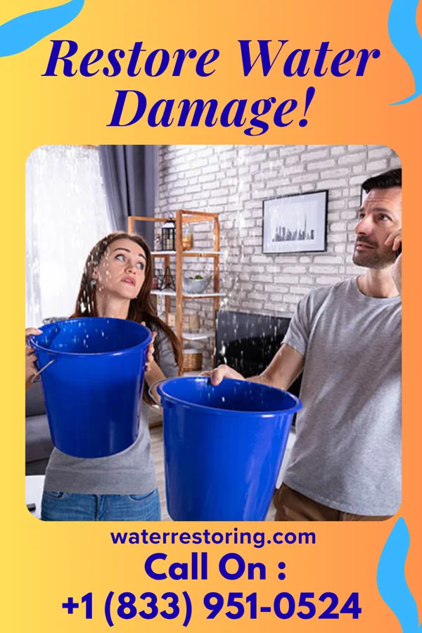 water restoration United Water Restoration Specialists Nashville