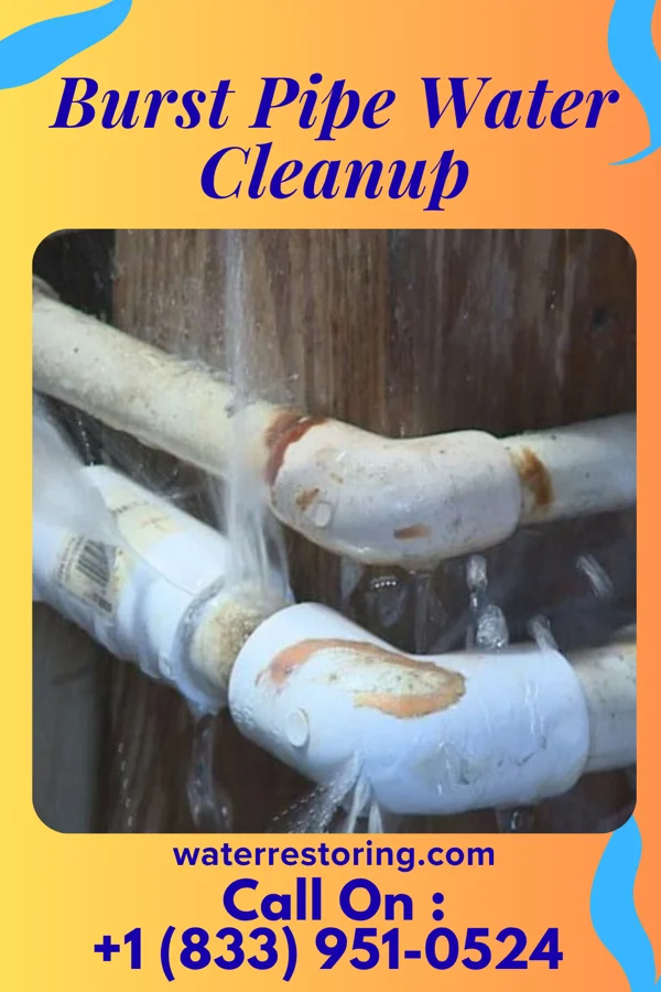 Burst Pipe Water Cleanup in Nashville, OH