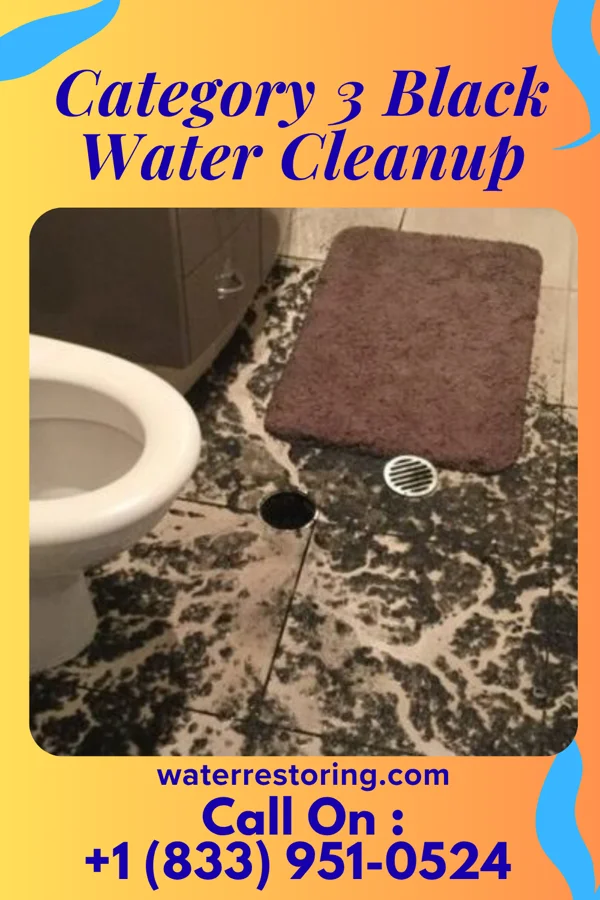 Category 3 Black Water Cleanup in Nashville, OH