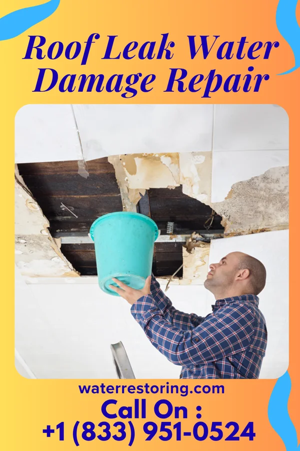 Roof Leak Water Damage Repair in Nashville, OH