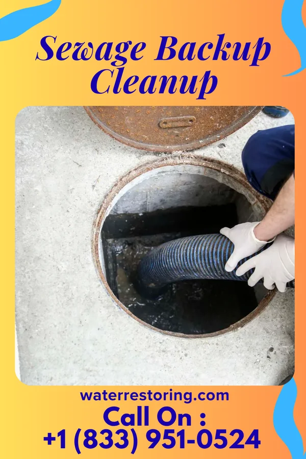Sewage Backup Cleanup in Nashville, OH