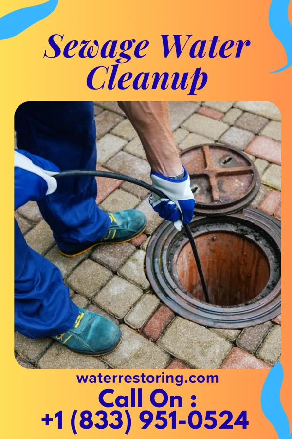 Sewage Water Cleanup in Nashville, OH